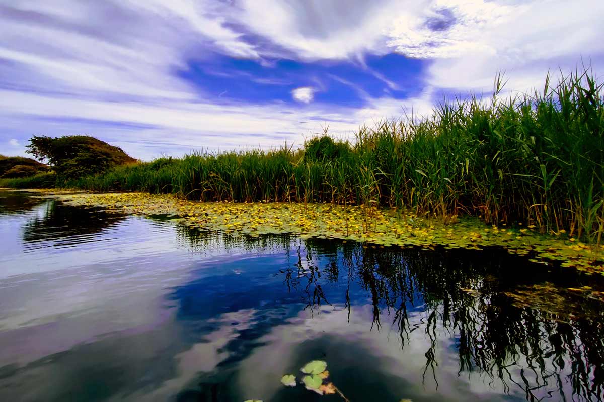 The Royal Military Canal Hythe